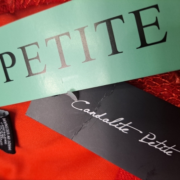 NWT Candalite Petite Cherry Red Lace & Sequin Formal Gown - Picture 12 of 12